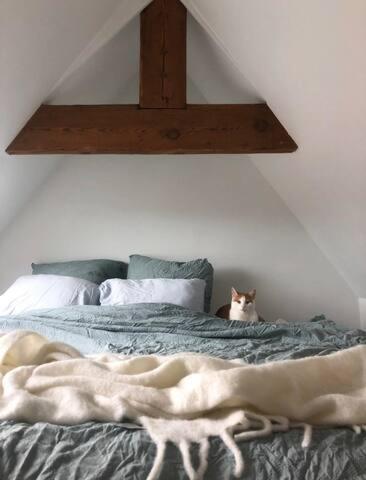Beautiful Cosy Apartments In The Heart Of Antwerpen Eksteriør bilde